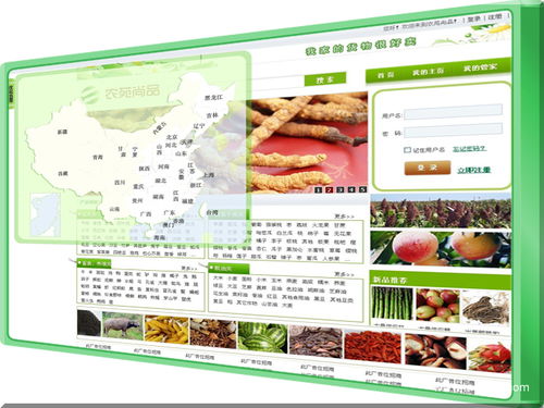 jeek 的案例庫 專業(yè)的軟件外包網(wǎng)和項(xiàng)目外包 項(xiàng)目交易平臺