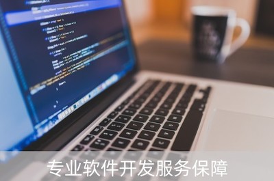 專業(yè)軟件開發(fā)服務保障(專業(yè)軟件開發(fā)服務保障包括哪些)