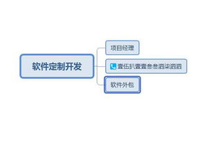 軟件開發公司外包在國內有哪些排名好的